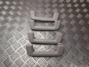 Ford AB39-B045B14-ACW / AB39B045B14ACW RANGER (TKE) 2017 Poignée de toit complect