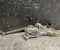 Gebrauchtes Original Volvo 32246780, 32246736 V60 II Cross Country (227) 2019 Lenksäule Verstellung mechanisch - Bild 3