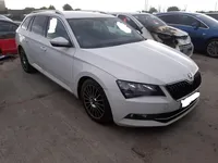 Superb baltas - Vignette 2