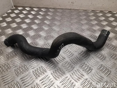 Ford USA L1M3-9K308-BC / L1M39K308BC EXPLORER (U6_) 2020 Vamzdis, aušinimo skystis - Paveiksliukas 1