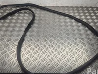 Nissan Ariya 2024 Door Seal Right Front