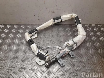 Tesla 1036756-00-E / 103675600E MODEL X 2016 Airbag de tête - Image 1