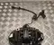 Alfa Romeo 00505536410 GIULIA (952_) 2021 Bremssattel vorne rechts - Bild 1