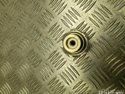 Porsche 99134125102 911 targa (991) 2017 Varžtas - Nuotrauka 1