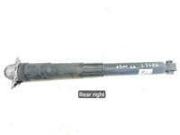 Volkswagen 3QF512011AB ATLAS (CA1, CA2, CA3) 2019 Amortiguador Right Rear