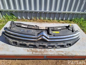 Citroën 9812063477 C3 III (SX) 2019 Grill