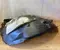 Cupra 575809958 ATECA (KH7, KHP, KBP) 2022 Wing liner Right Front - Image 1