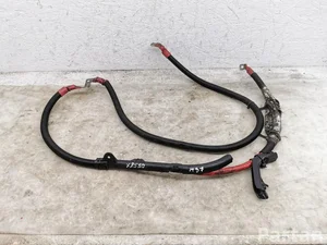 BMW 66405910 X3 (F25) 2011 Cables de la sección de motor