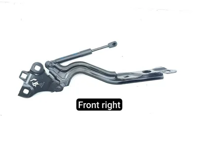 Chevrolet 84803942, 84778469 Corvette (C8) 2023 Gasfeder, Motorhaube - Bild 1