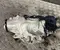 Gebrauchtes Original Mercedes-Benz A2233302503, 3.266 / A2233302503, 3266 GLC X254 2023 Vorderachsgetriebe - Bild 3
