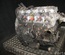 FIAT 8140.43S / 814043S DUCATO Bus (230_) 2002 Complete Engine