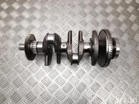 Ford RFPV4E, T48AC Kuga III 2024 Alkūninis velenas