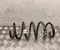 Gebrauchtes Original Tesla 1344471-00-B / 134447100B MODEL 3 2025 Feder hinten - Bild 1