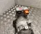 Ford 1EA816551L CAPRI (CX740L) 2024 Compressor, air conditioning - Image 1