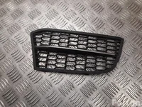 BMW 8 055 134 / 8055134 5 Touring (F11) 2017 Grillades