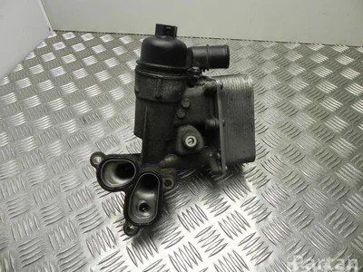 Renault 2.0 / 20 LAGUNA III Grandtour (KT0/1) 2011 Boîtier de filtre à huile - Image 1