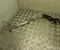 BMW 8571601 7 (G11, G12) 2016 Radiator Hose - Image 2