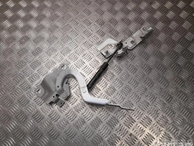 Renault 654018609R, 654833942R ZOE (BFM_) 2020 Charnière - Image 1