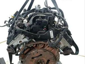 RAM EZH, 68320915AA, 68385753AA, P68385753AA, 68357419AE, 53022137AJ, 68304039AC, 68287943AE 1500 Crew Cab Pickup (DT) 2019 Silnik kompletny