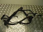 BMW 7607964 2 Coupe (F22, F87) 2015 Engine harness