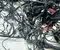 Porsche 9Y0971278A Cayenne 9Y0 9Y3 2019 Kit de cables - Imagen 3