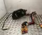 Ford 11N 971 531 C / 11N971531C CAPRI (CX740L) 2024 Cable de carga para coche eléctrico - Imagen 1
