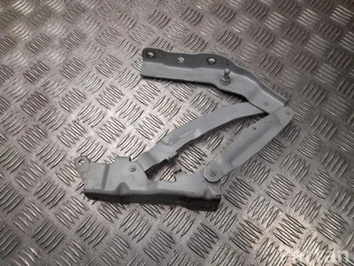 Hyundai CELH IONIQ 6 2024 Bagažinės dangčio vyriai - Paveiksliukas 1