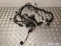 Volkswagen 04L 972 627 DJ / 04L972627DJ PASSAT Variant (3G5) 2015 Cables de la sección de motor