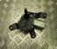 OPEL 53844417 ZAFIRA B (A05) 2007 Wiper Motor Rear