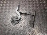 Renault 654009955R, 901264988R ZOE (BFM_) 2020 Charnière