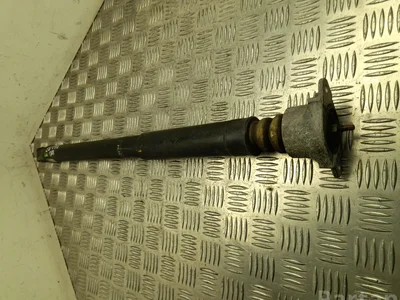 Ford FN1C-18097-AB / FN1C18097AB ECOSPORT 2016 amortizatorius dešinysis galinis kairysis galinis - Nuotrauka 1