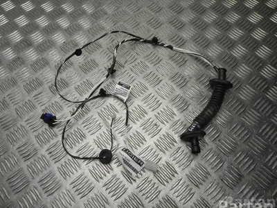 Ligier 1417542C JS 60 2022 Harnais pour intérieur Porte - Image 1