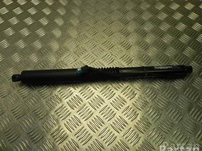 BMW 7397322 X3 (G01) 2018 Ressort à gaz - Image 1