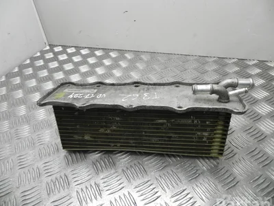 Volkswagen 04E 145 749 B / 04E145749B GOLF SPORTSVAN (AM1) 2015 Refroidisseur d'air comprimé intermédiaire - Image 1