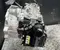 Seat WGS LEON Sportstourer (KL8, KLD) 2025 Automatic Transmission 7 Speed - Image 3