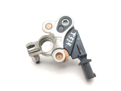 Maserati 670005055 QUATTROPORTE VI 2014 Câbles de batterie - Image 1