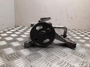 Kia 213102F311 SPORTAGE (SL) 2011 Oil Pump