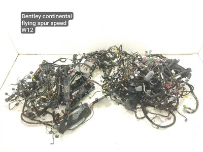 Bentley CONTINENTAL FLYING SPUR (3W_) 2012 Harnais - Image 1