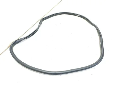 Ford USA JL1B78253A11-AD / JL1B78253A11AD EXPEDITION (U553) 2020 Durų sandariklis kairysis galinis - Nuotrauka 1