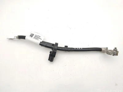 Chevrolet 23142757, 545324639 CORVETTE Convertible (C7) 2016 Câbles de batterie - Image 1