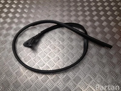 Polestar 80008110, 8892892253 4 2025 Durų stiklo sandariklis dešinė - Paveiksliukas 1