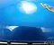 Chevrolet 22909552 CORVETTE (C7) 2015 Parachoques - Imagen 3