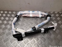 Volkswagen 2GS880742G POLO (AW1) 2019 Airbag de tête