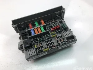 BMW 6906621 3 (E90) 2010 Caja de fusibles