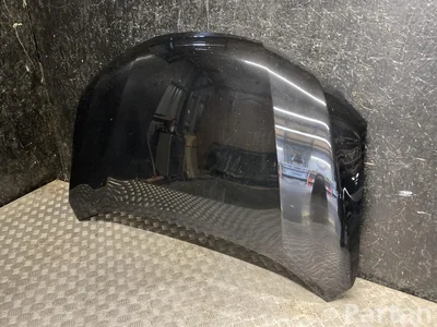 Nissan X-TRAIL (T32_) 2016 Gaubtas - Paveiksliukas 1