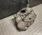 Lexus 77100-52870 / 7710052870 LBX 2024 Zbiornik paliwa - Zdjęcie 2