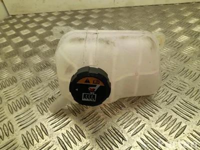 Hyundai 254R0-GI000 / 254R0GI000 Ioniq 5 NE 2023 Aušinimo skysčio išsiplėtimo bakelis - Paveiksliukas 1