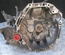 RENAULT JR5, 8200815546, A334995 CLIO III (BR0/1, CR0/1) 2009 Manual Transmission 5 Speed