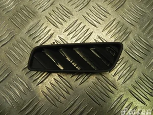 Audi 8R0 819 793 / 8R0819793 Q5 (8R) 2012 Grillades