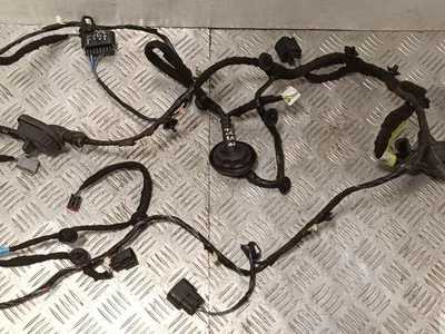 Ford USA FR3T14631FF MUSTANG Coupe 2016 Harnais pour intérieur Porte - Image 1